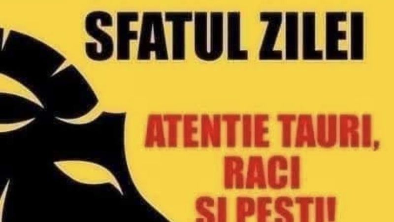 Sfatul zilei 13 septembrie 2026. Nativii care au o zi reușită cu momente speciale