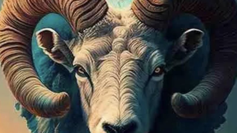 Urmatorii 10 ani vor fi plini de succes pentru aceste zodii. Visele lor se vor implini