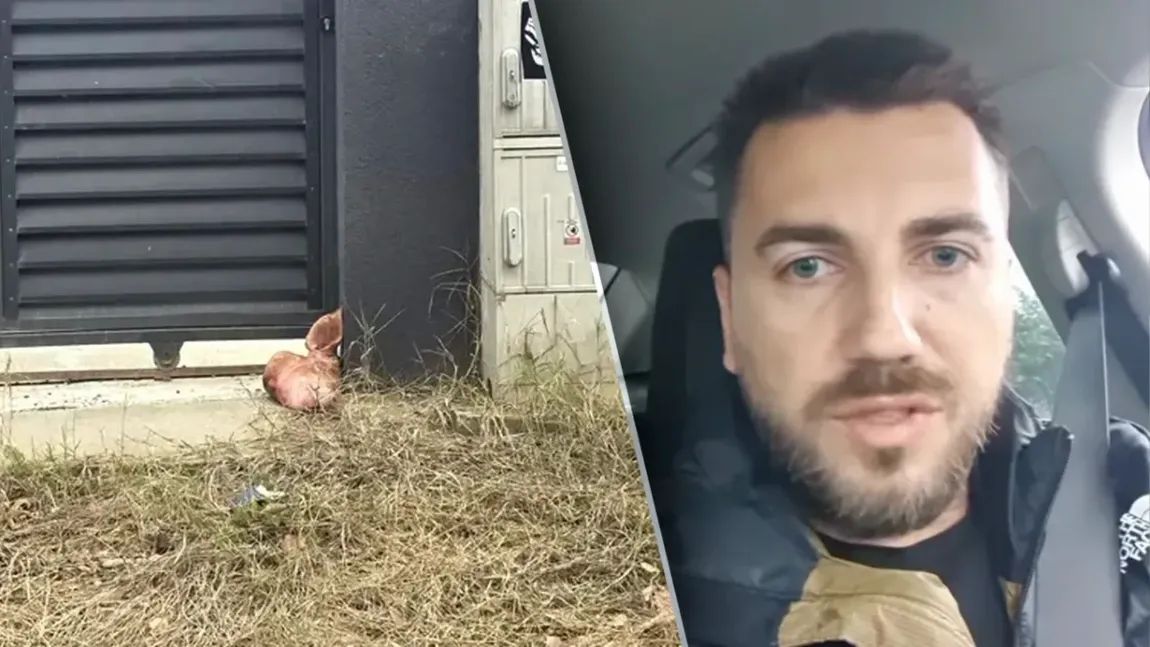S-a aflat cine a pus capul de porc în fața casei lui Marius Lulea. Reacția AUR