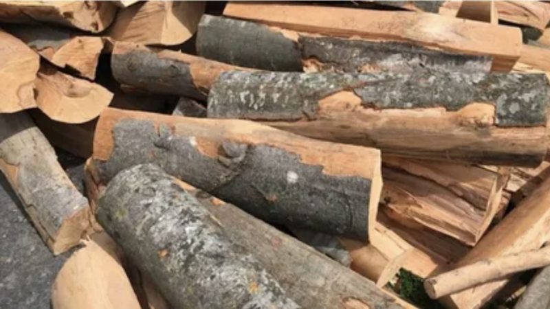 De unde pot cumpăra românii lemne de foc de la Romsilva. Cât costă metrul cub în 2026